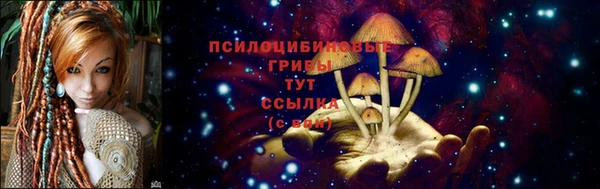 ГАЛЛЮЦИНОГЕННЫЕ ГРИБЫ Михайловка