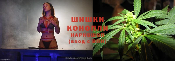 стафф Медвежьегорск