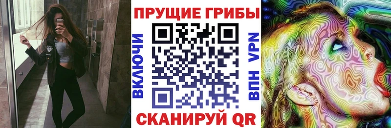 где купить наркоту  МЕГА сайт  Галлюциногенные грибы мухоморы  Нюрба 
